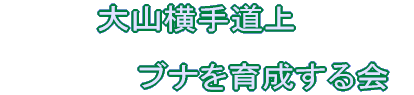 �u�i����Ă��