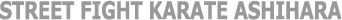 �X�g���[�g�t�@�C�g���@�������