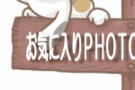 ���C�ɓ��蕗�i�ʐ^�ł��I