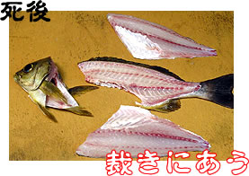 死後、裁きにあう