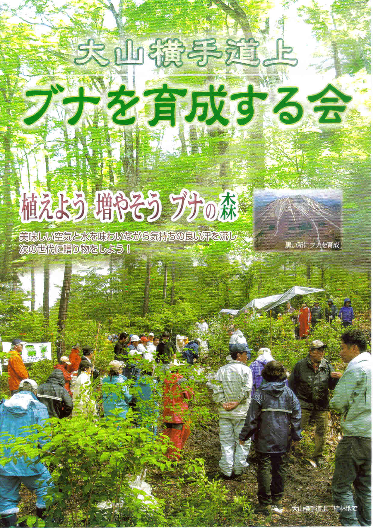 �p���t���b�g���