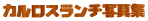 �J�����X�����`�ʐ^�W
