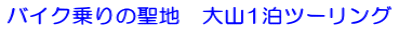 �o�C�N���̐��n�@��R1���c�[�����O 