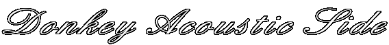 Donkey Acoustic Side 