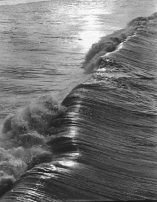Evening Waves