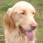 910255.jpg