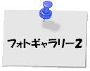 �t�H�g�M�������[�Q