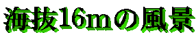 �C��16���̕��i