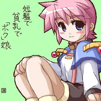 PaintBBS Oekaki Data