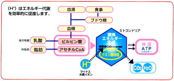 値 脈拍 基準 脈拍の正常値と測り方