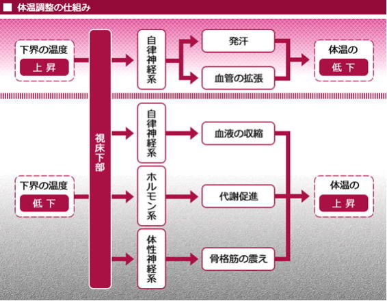 値 脈拍 基準 バイタルサインとは？ おさえておきたい正常値（基準値）と測定方法