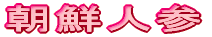 牡丹の花