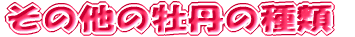 ���̑��̉��O�̎��