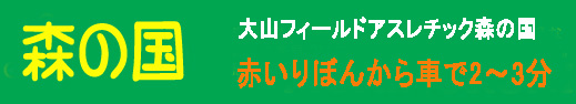 大山ふー^ぃーるどアスレチック森の国まで車で3分
