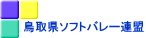 ���挧�\�t�g�o���[�A�� 